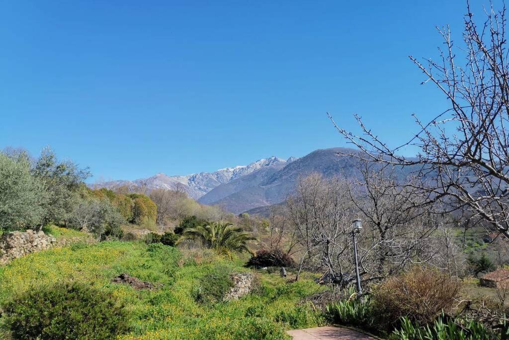 Casa Rural: La Casa Mágica de Gredos Villa Madrigal de la Vera Exterior foto