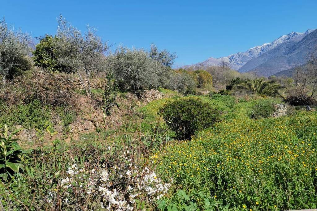 Casa Rural: La Casa Mágica de Gredos Villa Madrigal de la Vera Exterior foto