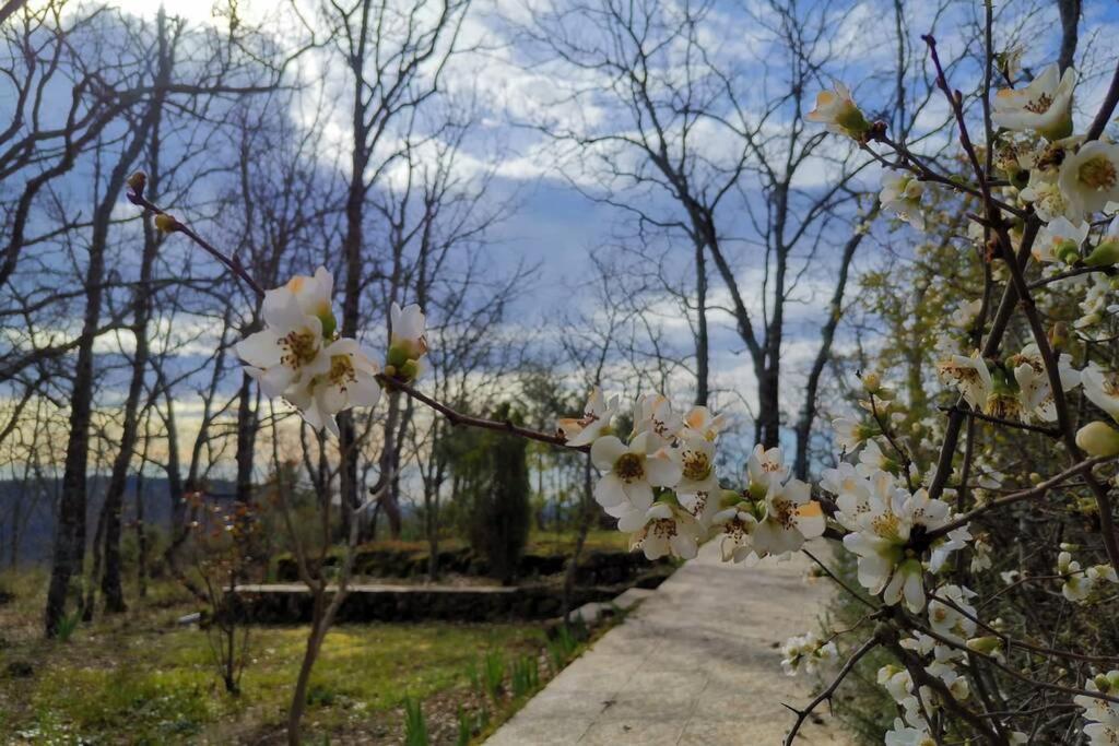 Casa Rural: La Casa Mágica de Gredos Villa Madrigal de la Vera Exterior foto